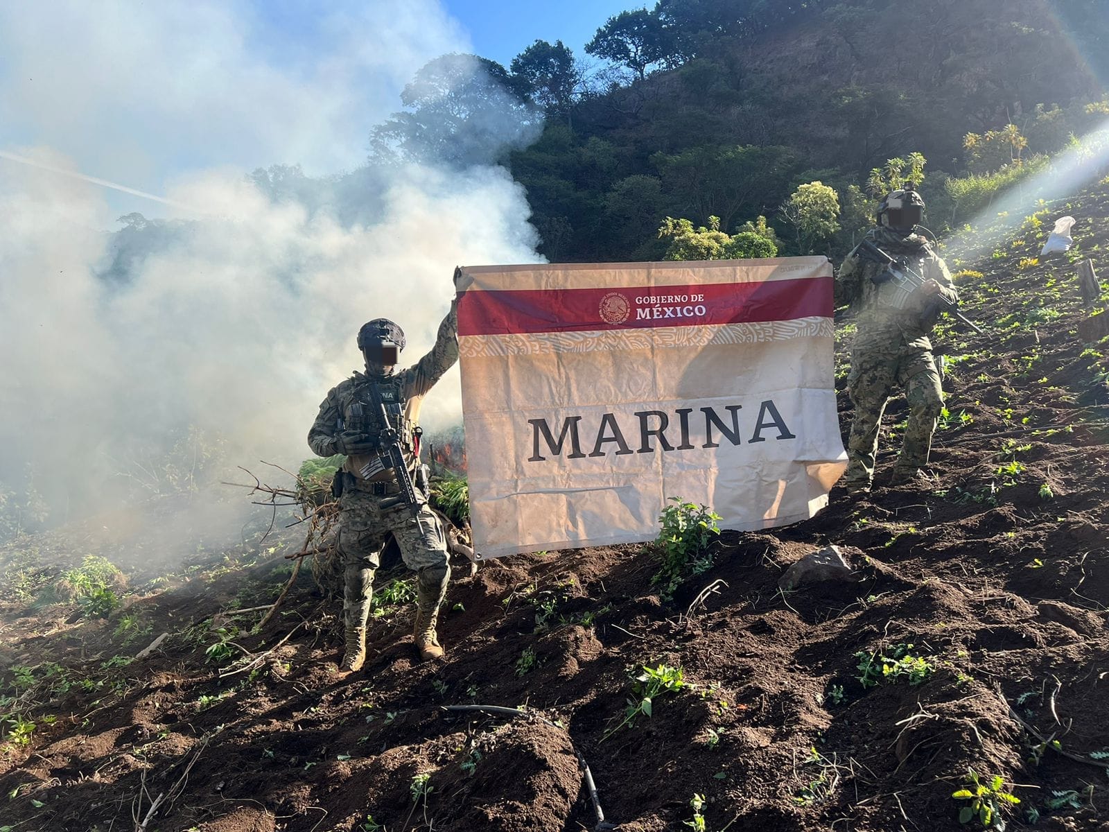 Marina destruye 15 plantíos de mariguana en Nayarit