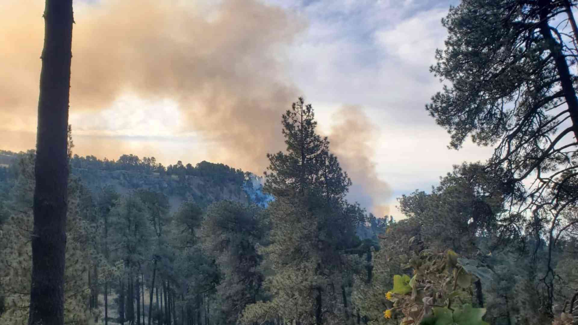 Se registra incendio en Parque Nacional Iztaccíhuatl-Popocatépetl