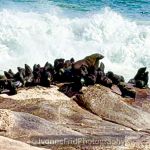 La costa de los esqueletos, uno de los lugares más hermosos y peligrosos del planeta